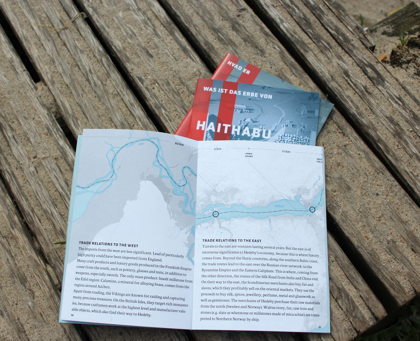 Buch "Was ist das Erbe von Haithabu und Danewerk für die Welt?"