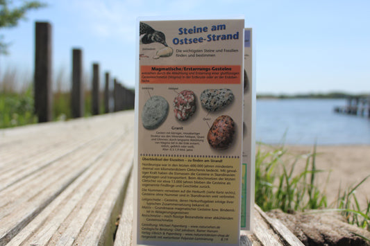 Bestimmungskarte "Steine am Ostsee-Strand"