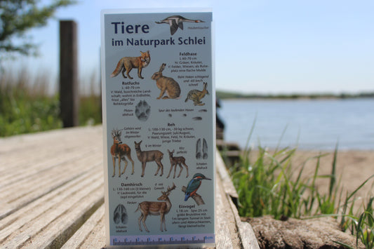 Bestimmungskarte "Tiere im Naturpark Schlei"