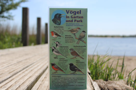 Bestimmungskarte "Vögel in Garten und Park"