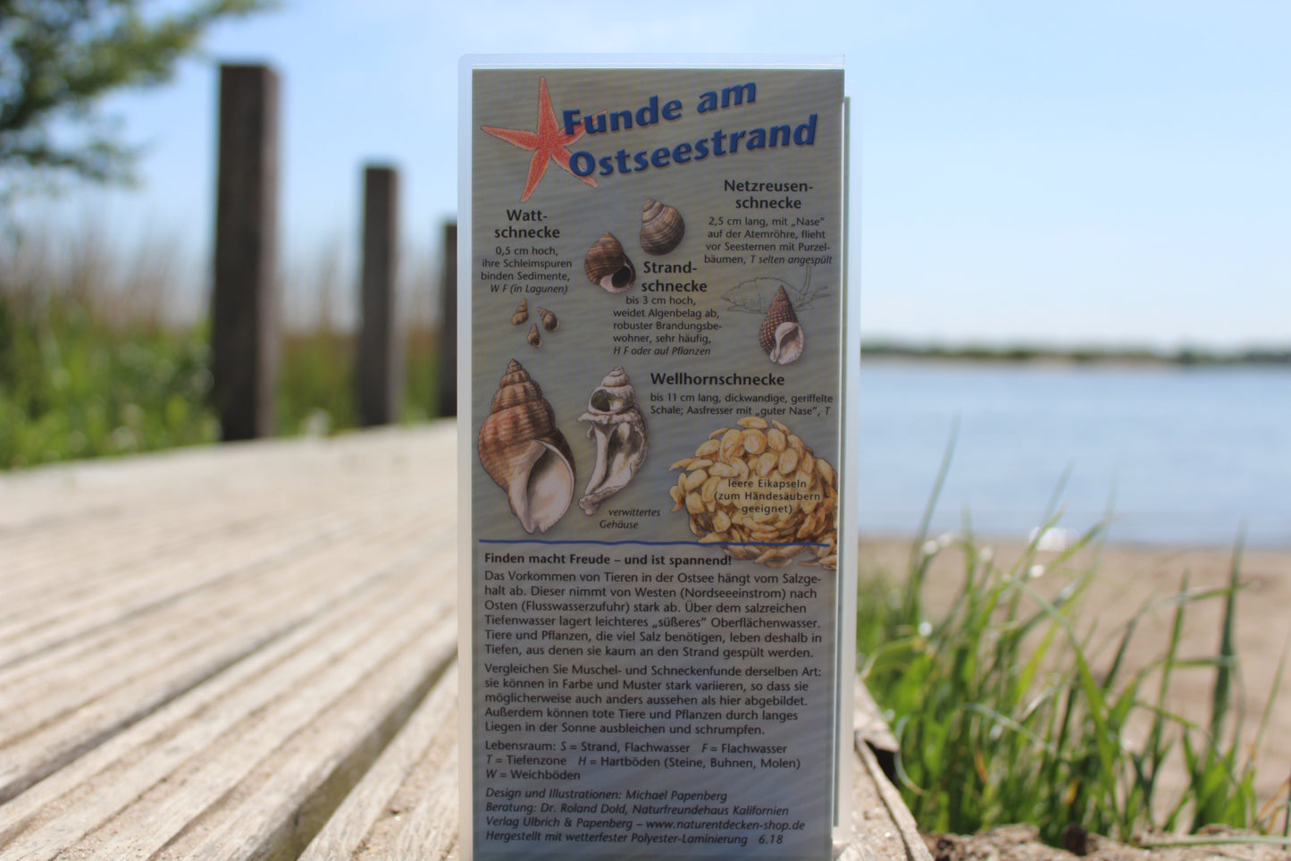 Bestimmungskarte "Funde am Ostseestrand"