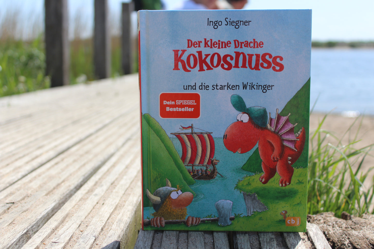 Buch "Der kleine Drache Kokosnuss und die starken Wikinger"